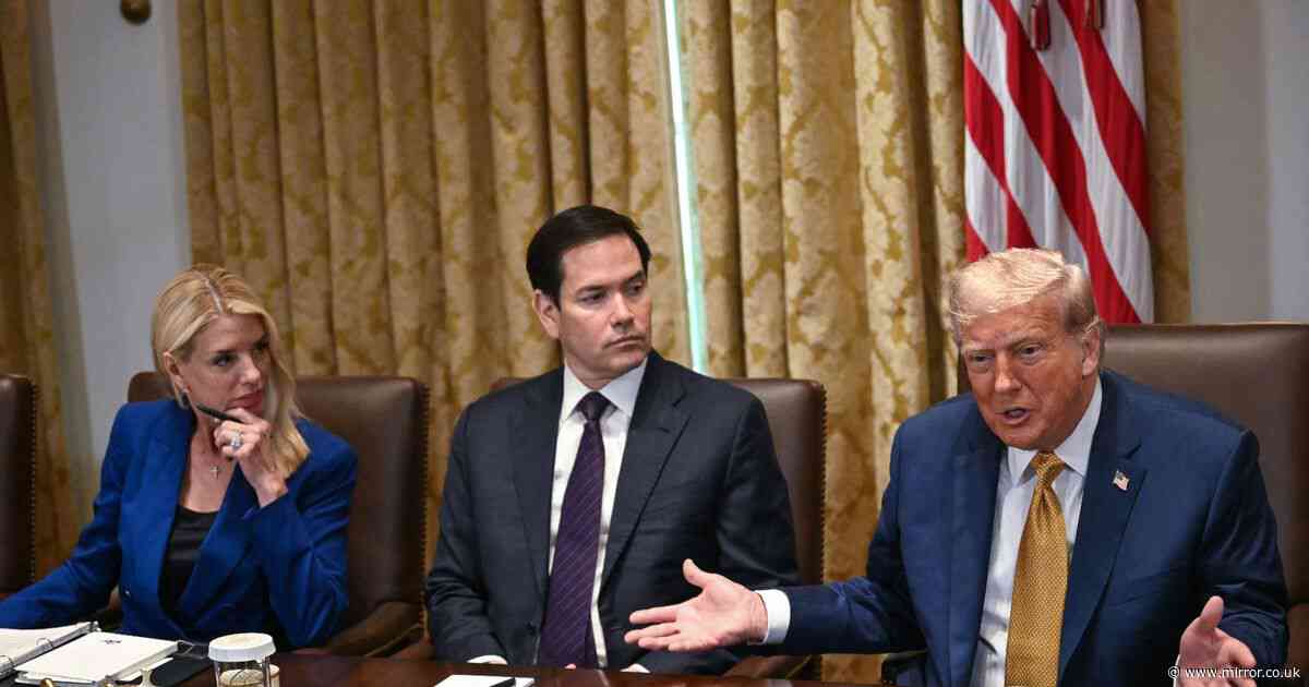 MIKEY SMITH: 7 unhinged Donald Trump moments as he gives bizarre answer about Jeffrey Epstein