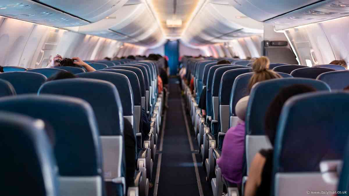 American Airlines passenger forced to crawl off flight due to humiliating oversight