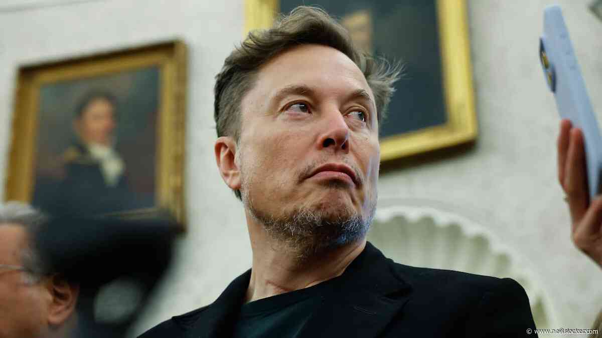 Tesla-aandeelhouders nerveus over politieke plannen Musk: 'Komt belofte niet na'