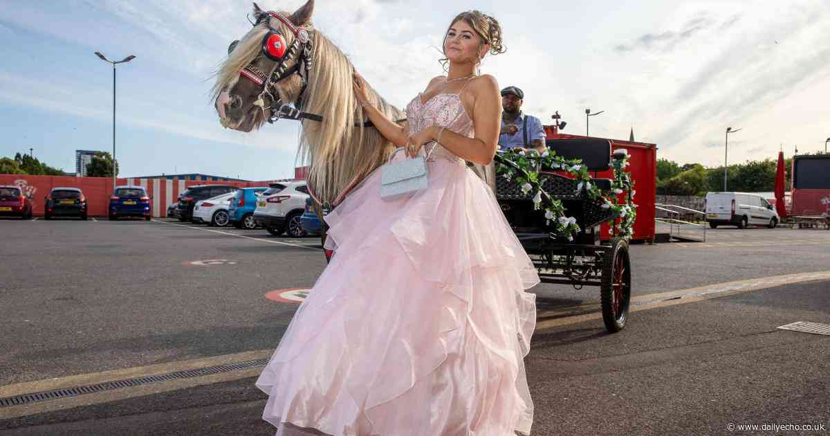 More amazing photos from Crestwood Community School Prom 2025