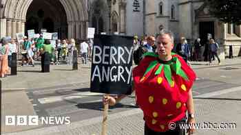 Wimbledon cannot expand onto parkland, court hears