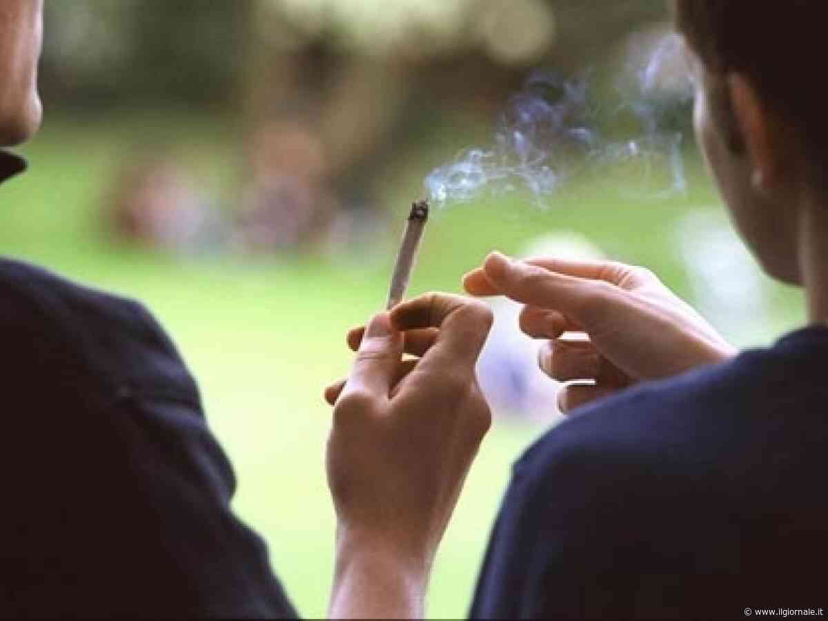 Cannabis negli adolescenti: cosa fare e cosa dire ad un giovane