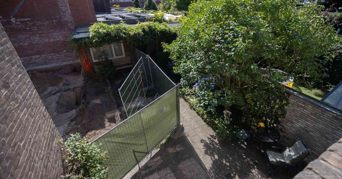 Sloopmachine vernielt tuin van Tiny: ‘Toen ik opkeek, was de klimop weg, de hortensia vijf seconden later ook’