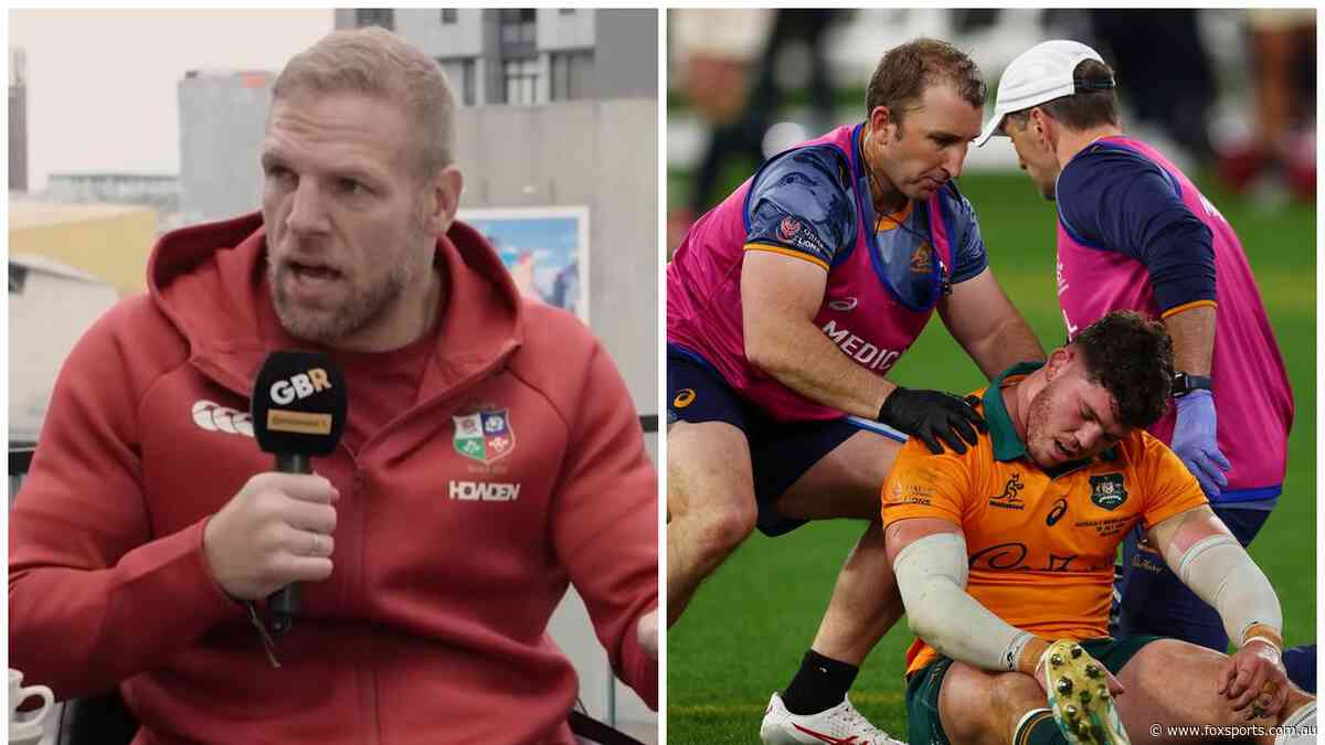 Former star rants over Lions controversy, says Wallaby ‘should have been red carded’— UK View