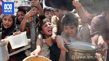 Israeli human rights groups say their country is committing genocide in Gaza