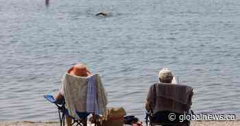 Southwestern Ontario blasted by summer heat waves
