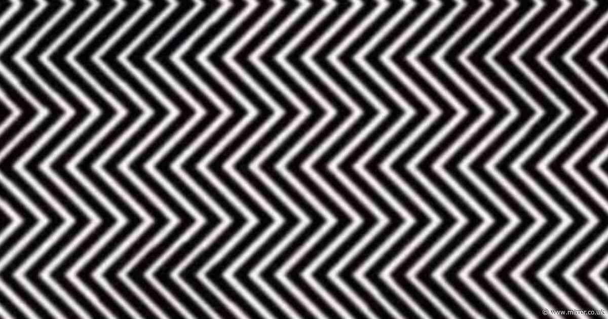 Hidden animal in this optical illusion tricks almost everyone who sees it