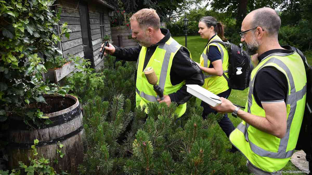 Het is wachten tot de tijgermug zich ook hier vestigt: 'Binnen drie tot vijf jaar'