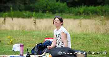 The fight to stop more Blackweir Live gigs begins as people return to the fields
