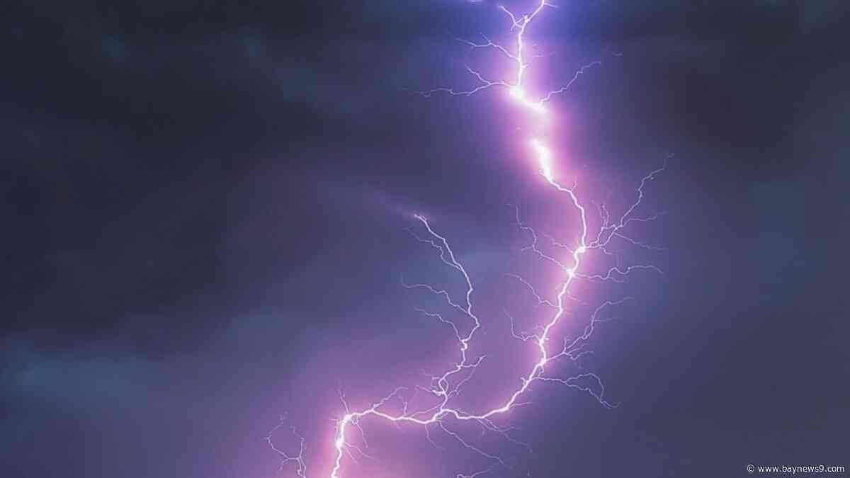 Hernando County crews revive lightning strike victim