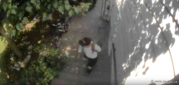 North Bay Police looking to identify Break and Enter suspect caught on video