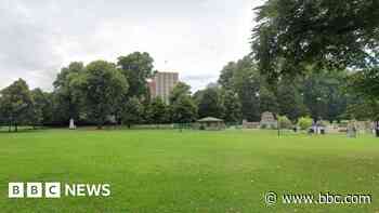 Man raped girl in park, court hears