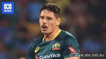 Aussies sweep Windies in dominant T20I series victory