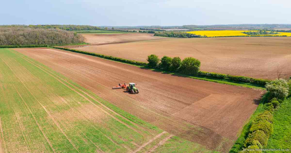 Is the government’s vision for food and farming coming into focus yet?