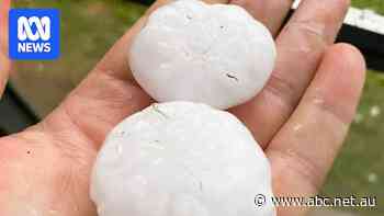 The Australian cites bracing for more giant hail as climate warms