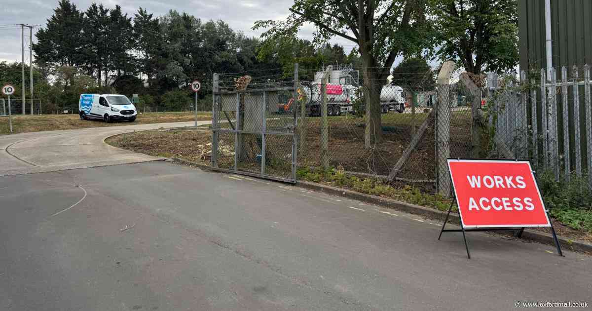 Around 30 fish killed in 'serious pollution incident' at Thames Water site