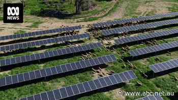 Solar farm approved in weeks shows how renewables rollout could speed up