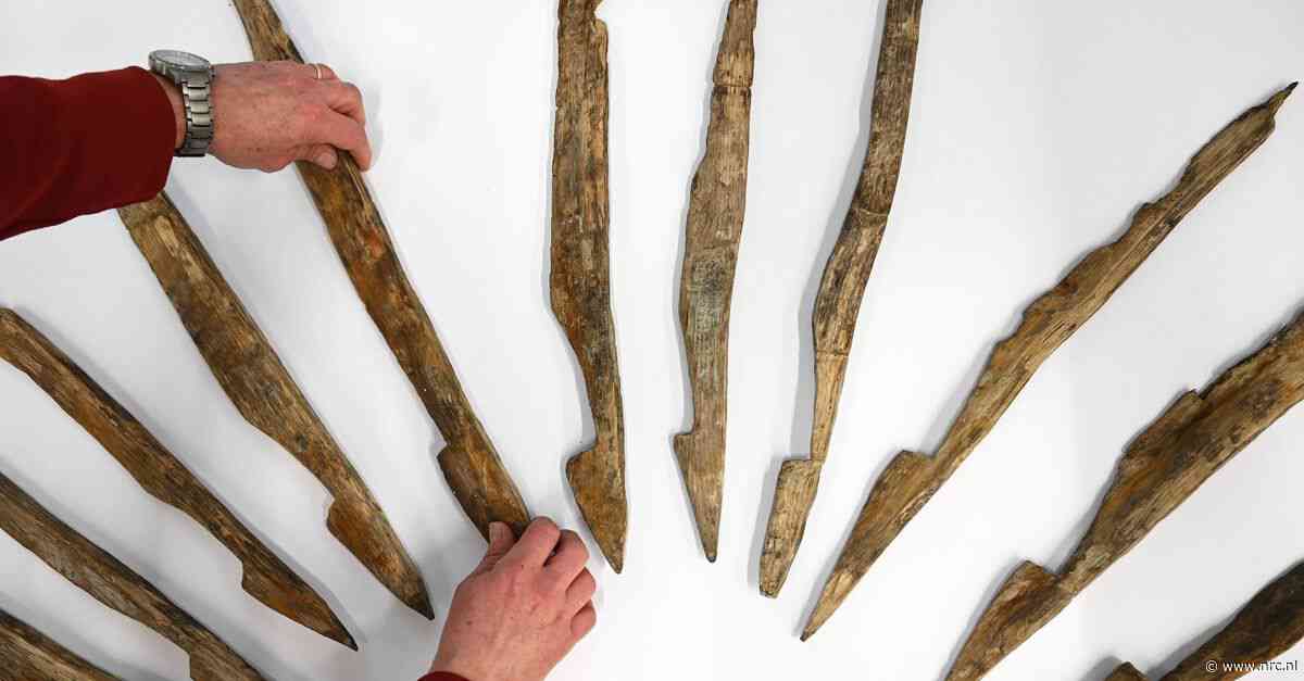 De herkomst van het hout dat de Romeinen gebruikten is nu precies bekend